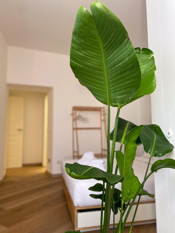 Boho Suites - Rome Colosseum Kültér fotó